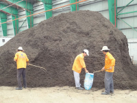 Sinh lợi từ rác